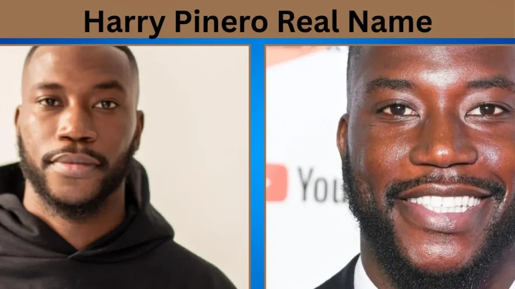 Harry Pinero Real Name